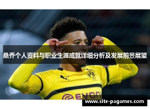 桑乔个人资料与职业生涯成就详细分析及发展前景展望