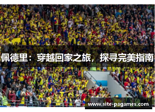 佩德里：穿越回家之旅，探寻完美指南