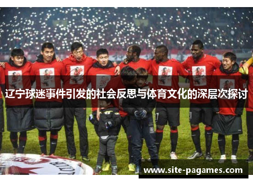 辽宁球迷事件引发的社会反思与体育文化的深层次探讨