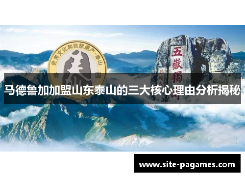 马德鲁加加盟山东泰山的三大核心理由分析揭秘