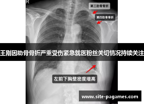 王刚因肋骨骨折严重受伤紧急就医粉丝关切情况持续关注