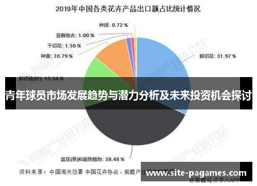 青年球员市场发展趋势与潜力分析及未来投资机会探讨
